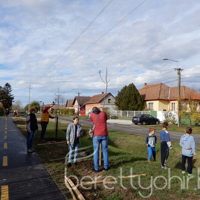 Közösségi faültetés Berettyóújfaluban 46